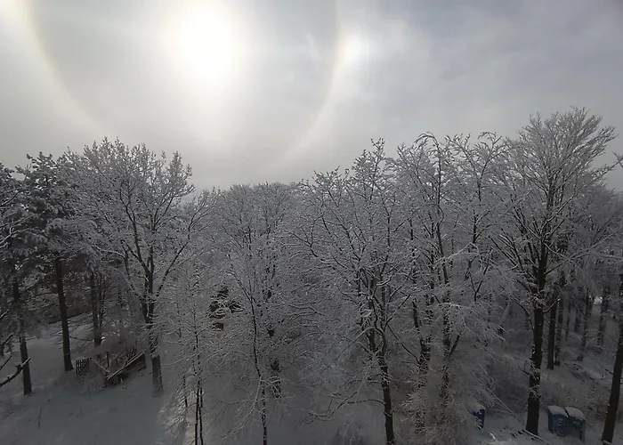 Lux Relax Nalazi Se U Titovoj Appartamento *