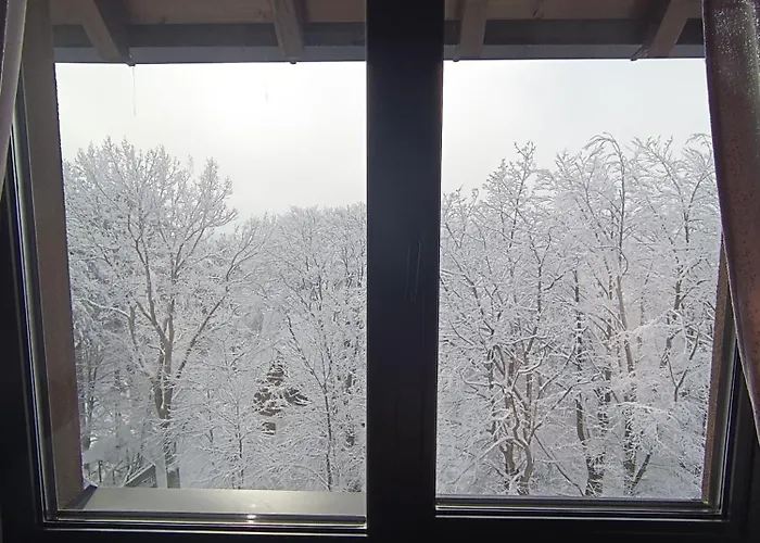 Lux Relax Nalazi Se U Titovoj *